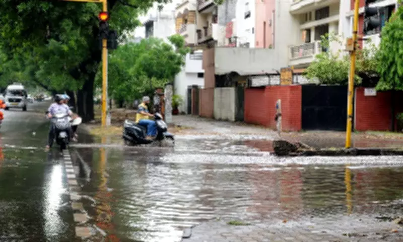 Punjab, Haryana, Chandigarh on Weather Watch as Rainy Spell Extends Till June 14