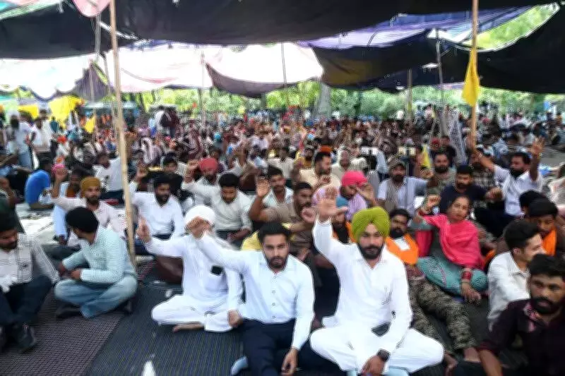 Punjab Power Corp Lineman Apprentices Reject Recruitment, Vow to Intensify Protest