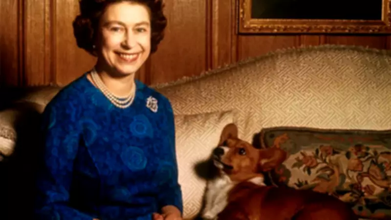 Queen Elizabeth II's Secret Honeymoon Companion: Her Beloved Corgi Susan