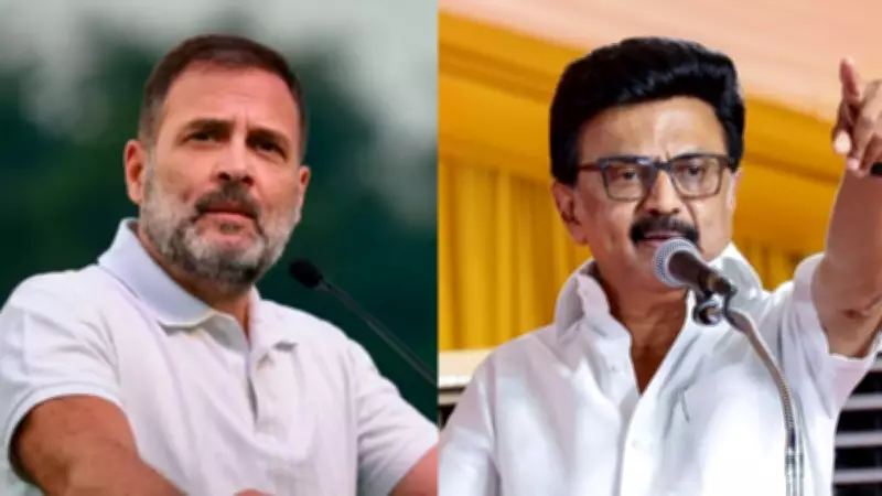 Rahul Gandhi Reaffirms Alliance with DMK, Thanks Stalin for Birthday Wishes
