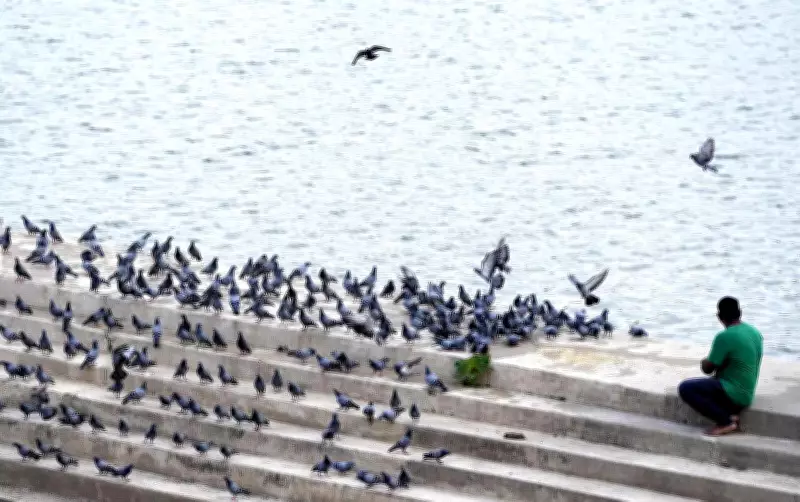 Rajasthan Launches Integrated Wetland Management Plans for 15 Wetlands