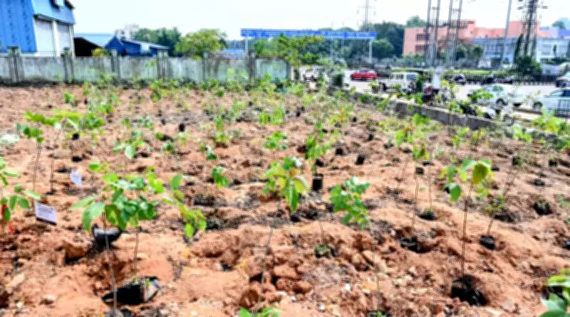 Rajasthan Schools to Host Green Summer Camps for Environmental Awareness