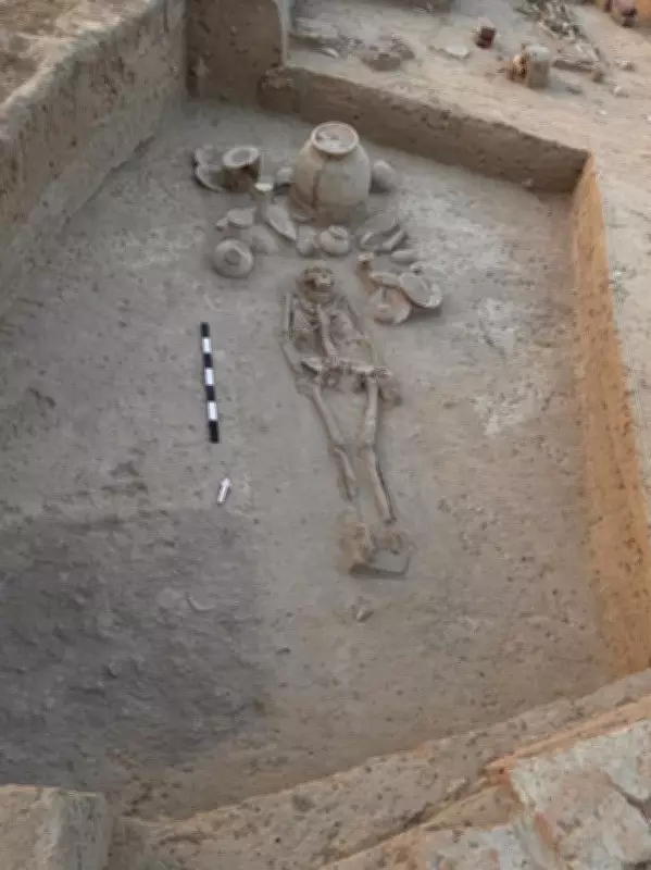 Rakhigarhi Excavation Unearths 8 Skeletons, Reveals Harappan Trade Links