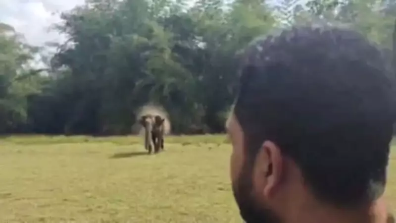 Reckless Youth Drives Jeep at Wild Elephant for Social Media Reel in Chikkamagaluru