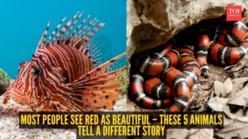 Red in Nature: A Warning Sign of Danger and Deception