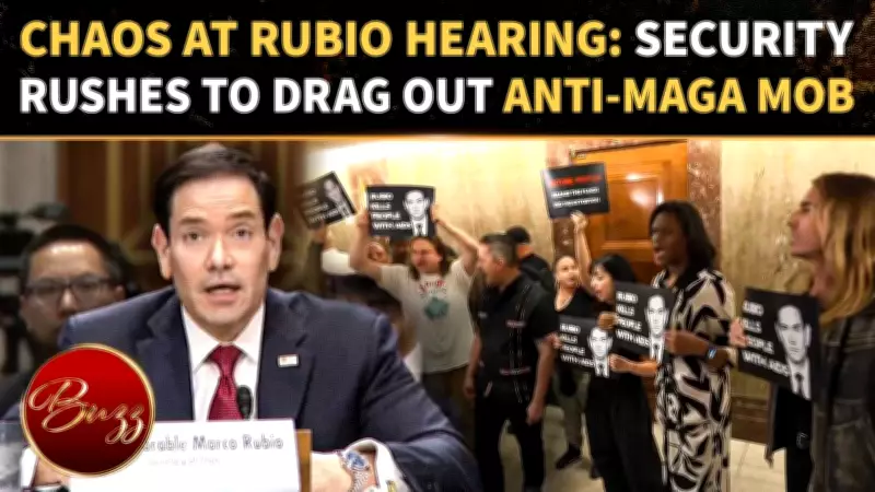 Rubio Hearing Erupts in Chaos as Protesters Dragged Out Over War and Foreign Policy