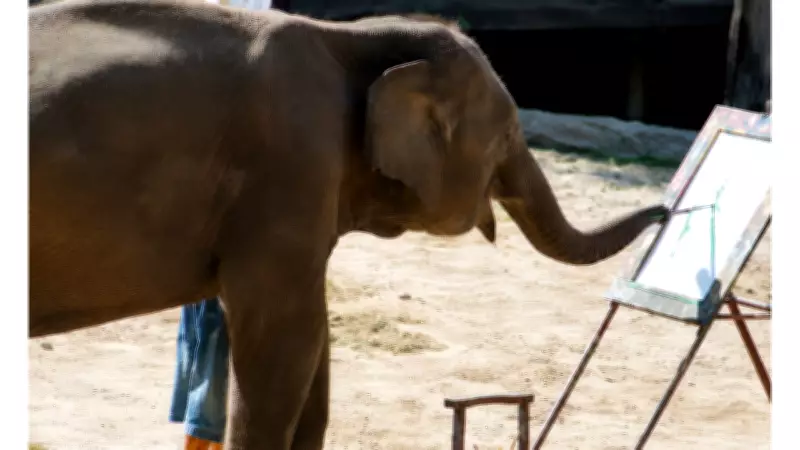 Ruby the Painting Elephant: How an Asian Elephant Raised $200,000 for Conservation