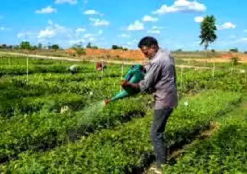 Sadhguru's Cauvery Calling to Host Food Forest Seminar and Fruit Festival in Trichy