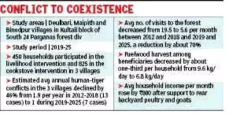 Safer Livelihoods Reduce Human-Tiger Conflicts in Sundarbans by 46%