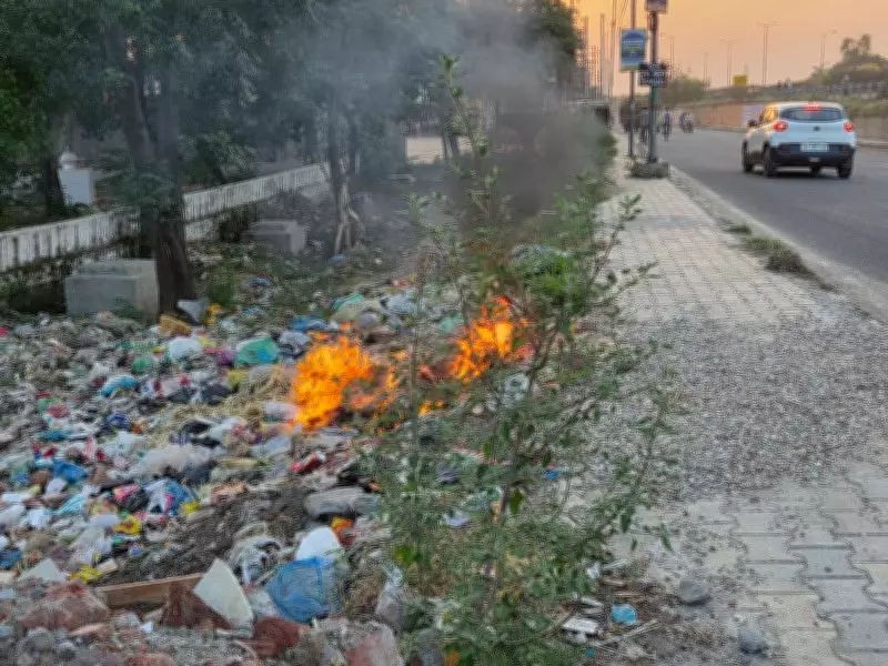Sahnewal Residents Suffer as Garbage Burning Continues Unchecked
