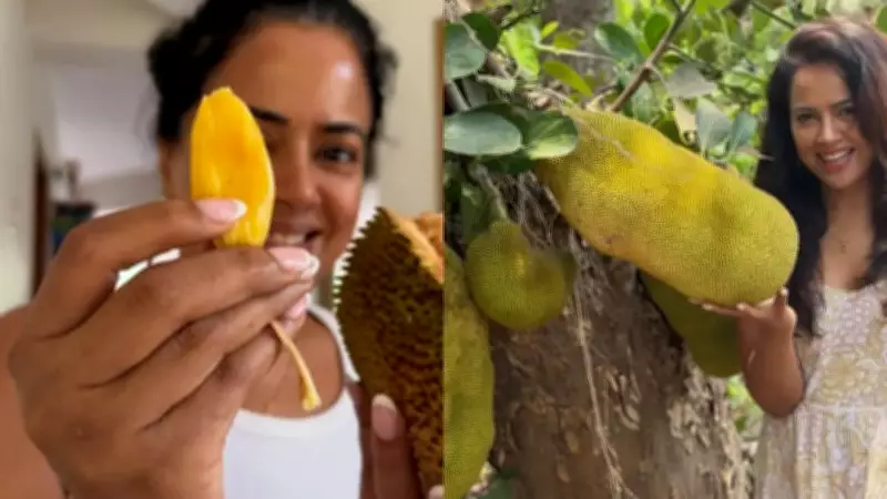 Sameera Reddy Highlights Jackfruit Seeds Benefits: Nutrition, Origins, and Health Perks
