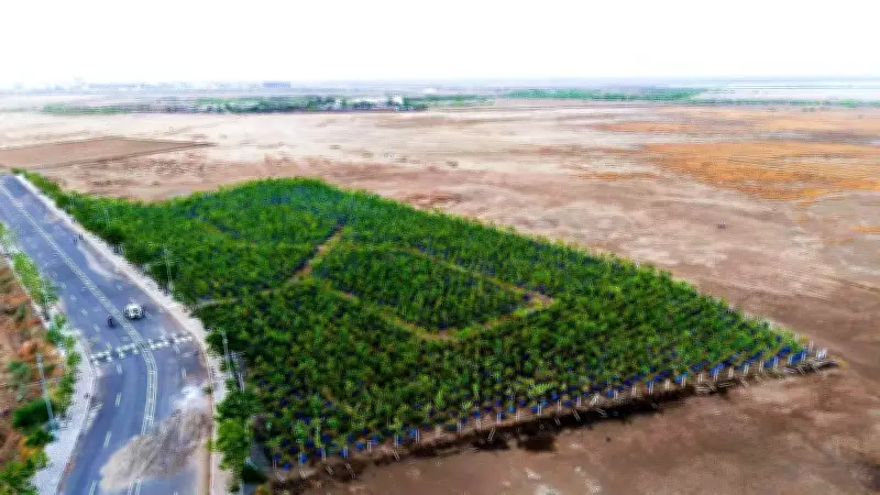Sandeep Naik Foundation Launches 'Tree for Anyone Who Asks' Campaign in Navi Mumbai