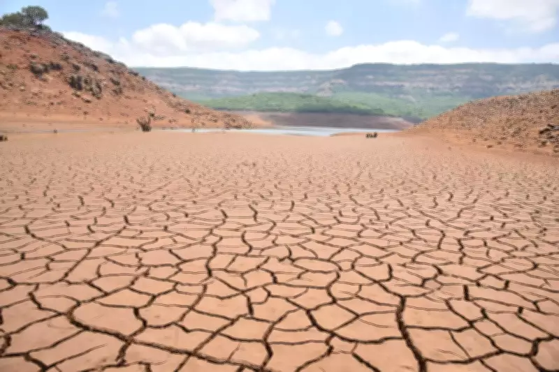 Sangli Irrigation Dept Bans Water Lifting from Koyna Dam for Non-Drinking Uses