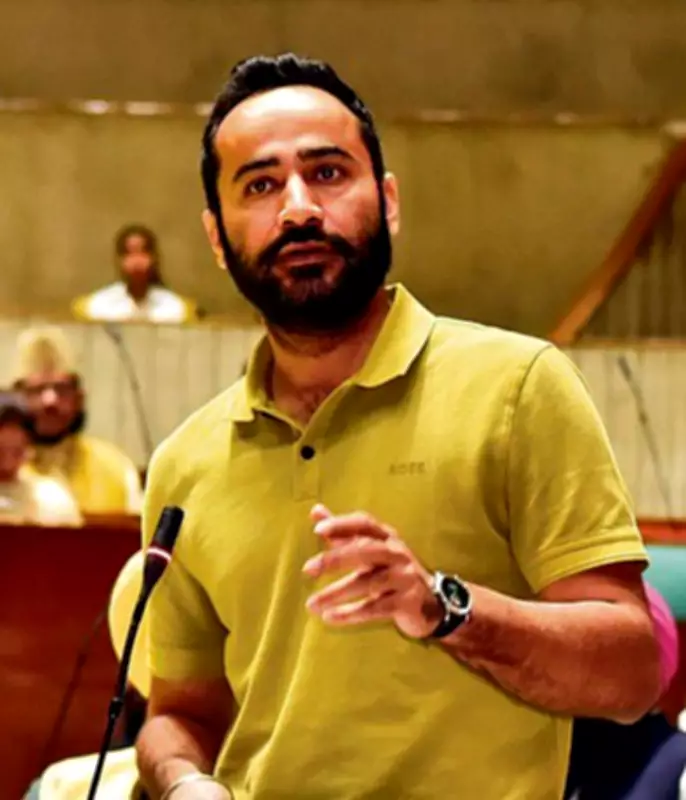 SC Verdict on Pedestrian Rights Vindicates Parliament Concerns: AAP MP