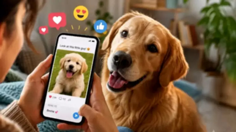 Sending Cute Animal Videos to Friends Strengthens Social Bonds, Study Finds