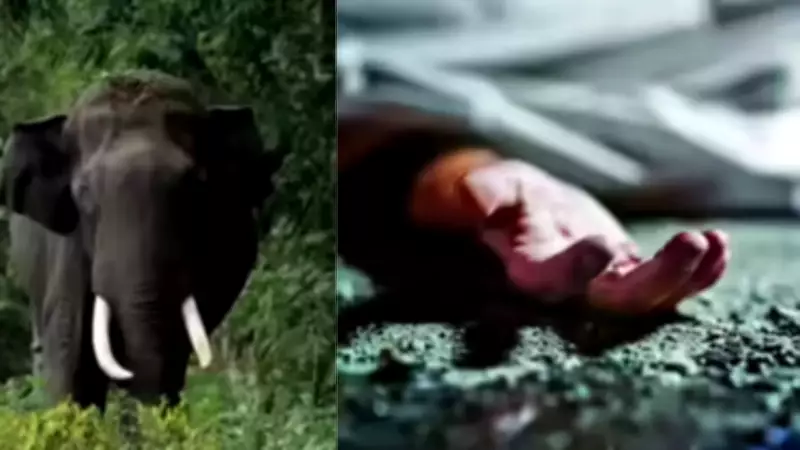 Senior IPS Officer Sunil Achaya's Wife Trampled by Elephant in Kodagu
