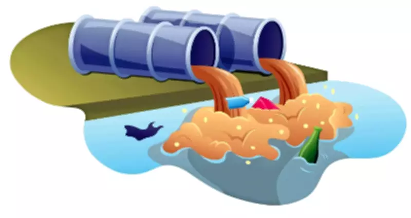 Sewage Mixes with Irrigating Water in Madurai Channel, Residents Allege
