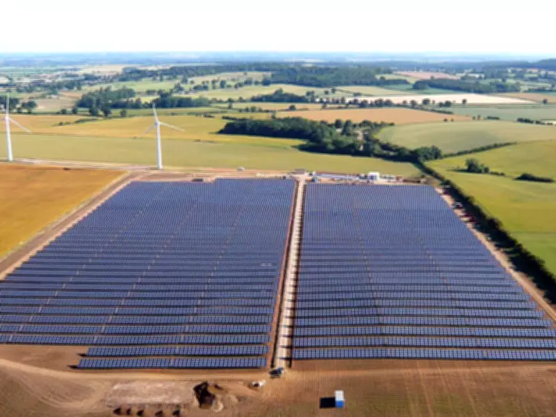 Sheep Graze Under Solar Panels in UK's Agrivoltaics Push