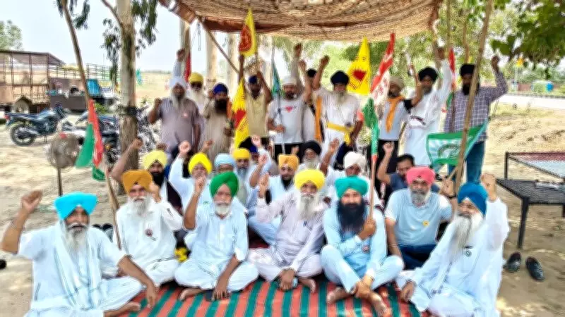 Sheron Sugar Mill Allotment Stir Enters 30th Day, Farmers Vow to Continue Protest