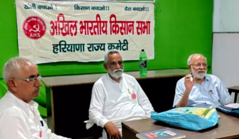 Shrinking Cotton Acreage Worries Haryana Farmers, Kisan Sabha Blames Centre