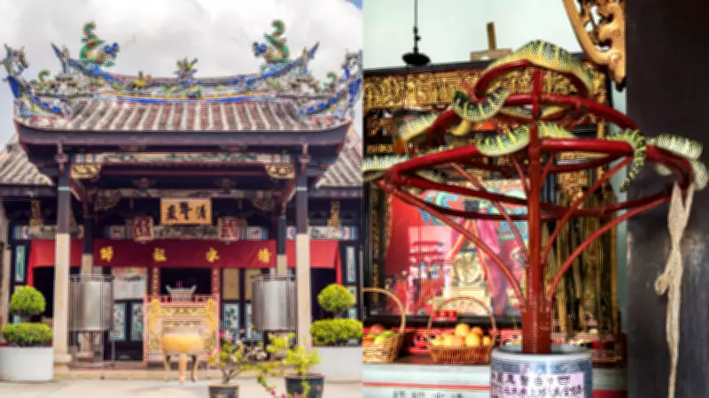 Snake Temple in Malaysia: A 200-Year-Old Sanctuary of Venomous Pit Vipers and Faith