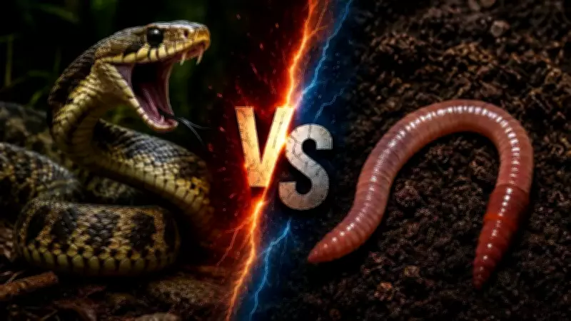 Snake vs Earthworm: Anatomy, Lifestyle, and Key Differences Explained