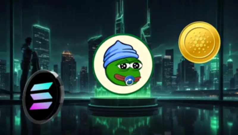 Solana and Cardano Compared as Market Rally Looms, New Coins Emerge