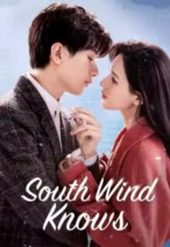 South Wind Knows Review: A Mandarin-Hindi Romance Streaming on MX Player