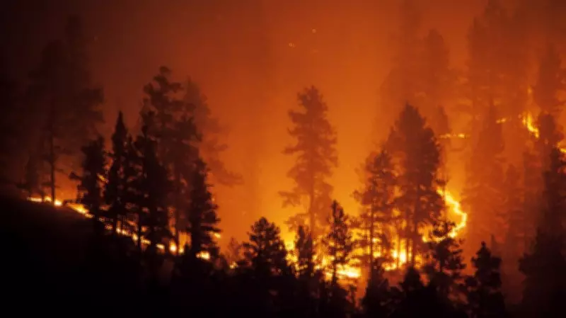 Southeastern Europe Wildfires: Heatwave Sparks Blazes on Vis Island