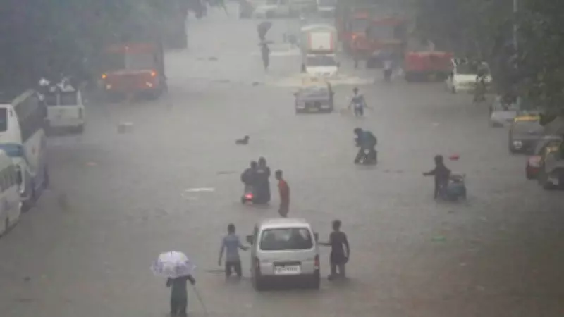 Southwest Monsoon Intensifies: Heavy Rain Alert for 10+ Tamil Nadu Districts