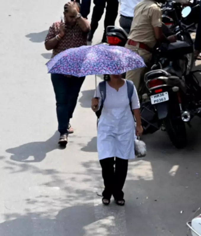 Southwest Monsoon Likely to Enter Rajasthan Around June 24