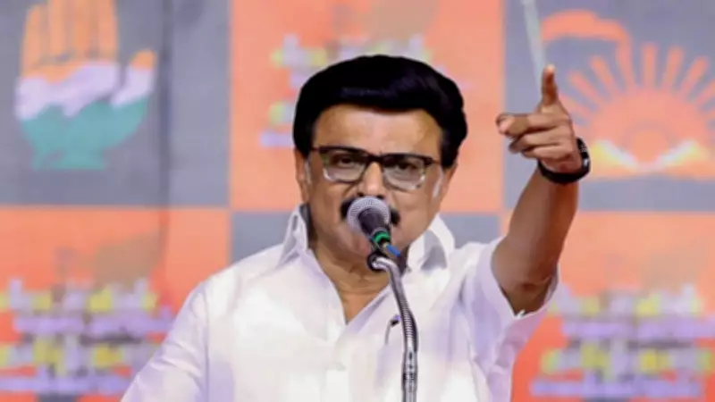 Stalin accuses TN CM Vijay of running BJP's xerox copy govt, alleges poaching of MLAs