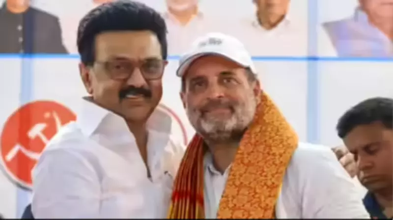 Stalin greets Rahul Gandhi; latter vows joint fight for federalism, Constitution