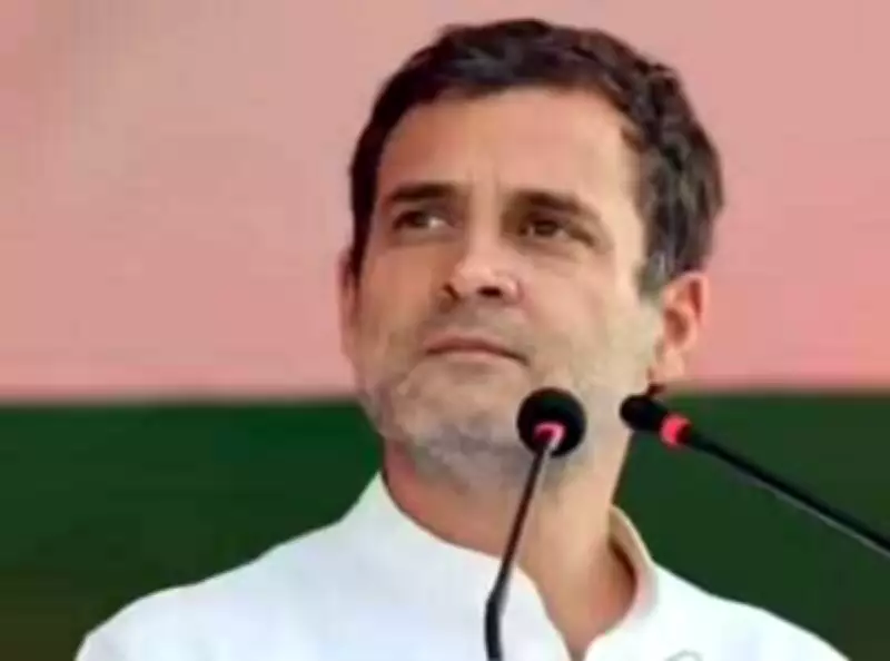 Stalin, Vijay Extend Birthday Greetings to Rahul Gandhi, Vow to Defend Constitution