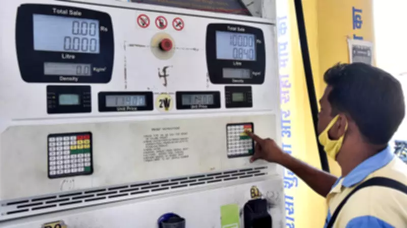 State-run oil firms indispensable despite privatisation bids