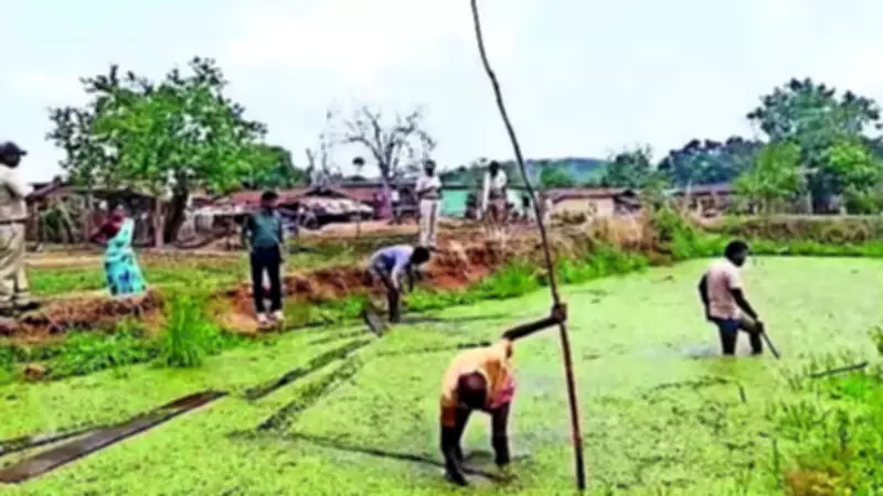 Stolen Timber Found Hidden in Pond in Chhattisgarh Tiger Reserve Zone