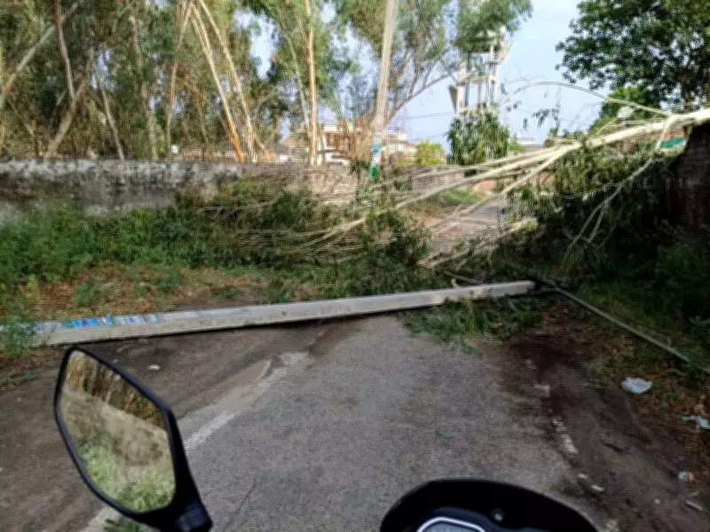 Storm Causes Rs 1.25 Crore Loss to PSPCL in Doaba Region