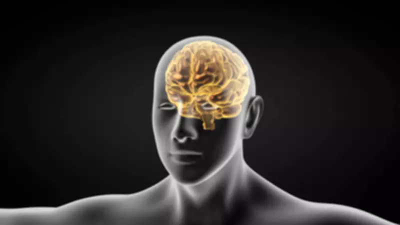 Stroke Increasingly Affecting Younger Indians Due to Lifestyle Changes