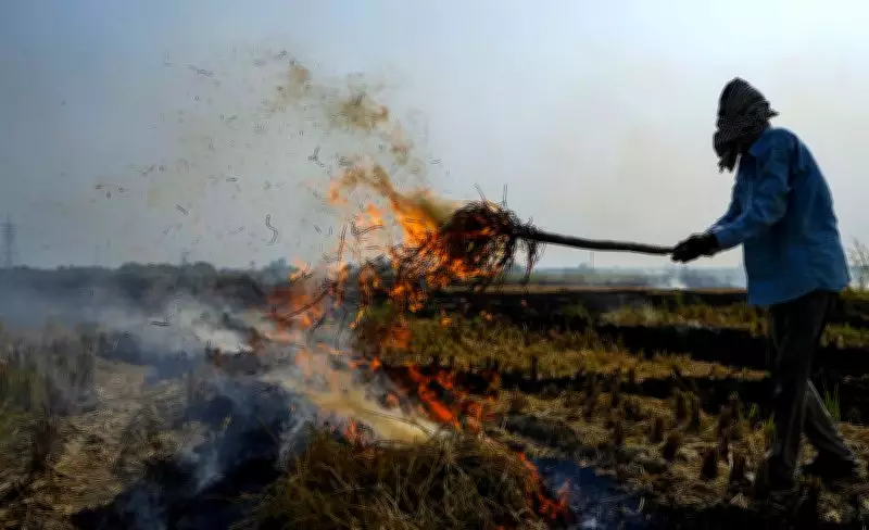 Stubble Burning Damages BSF Infrastructure Along Indo-Pak Border in Ferozepur