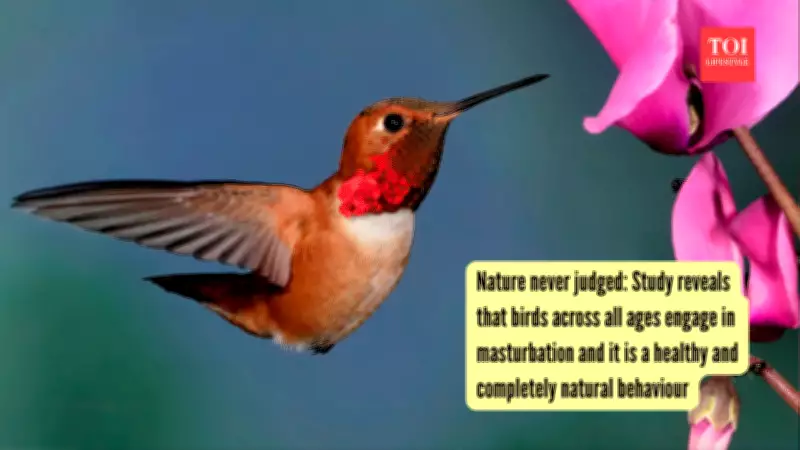 Study Reveals Masturbation Is Natural and Common in Birds Across Species