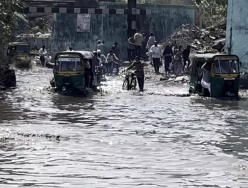 Sudden Rain Hits Surat, Brings Relief and Disruption to South Gujarat