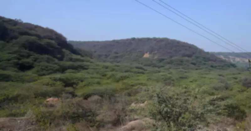 Supreme Court's Aravali Panel Raises Independence Concerns