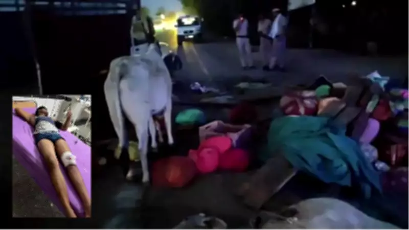 Suspected Cow Smuggler Injured in Nuh Encounter with Police