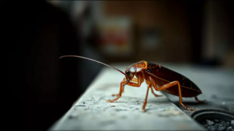 Swahili Proverb: Stop Scratching the Cockroach's Scars — Wisdom on Moving On