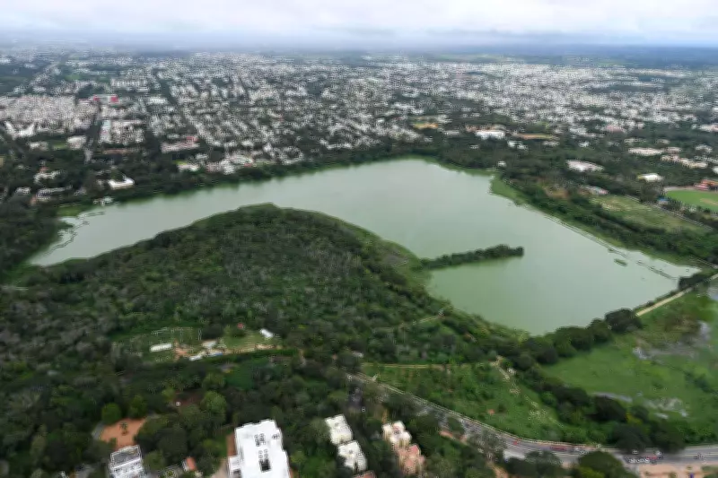 SWR Condemns Tree Felling Near Kukkarahalli Lake, Seeks Action