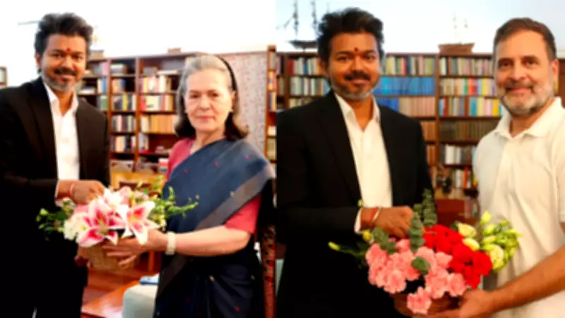 Tamil Nadu CM Vijay Meets Sonia, Rahul Gandhi in Delhi
