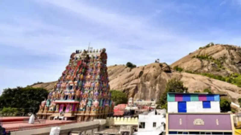 Tamil Nadu govt moves SC against HC order on lighting lamp on hill