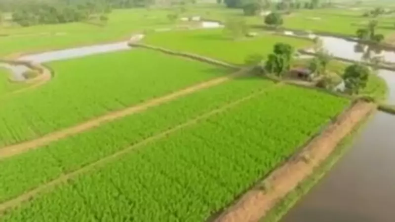 Tamil Nadu Minister Orders Land Guideline Values by June End