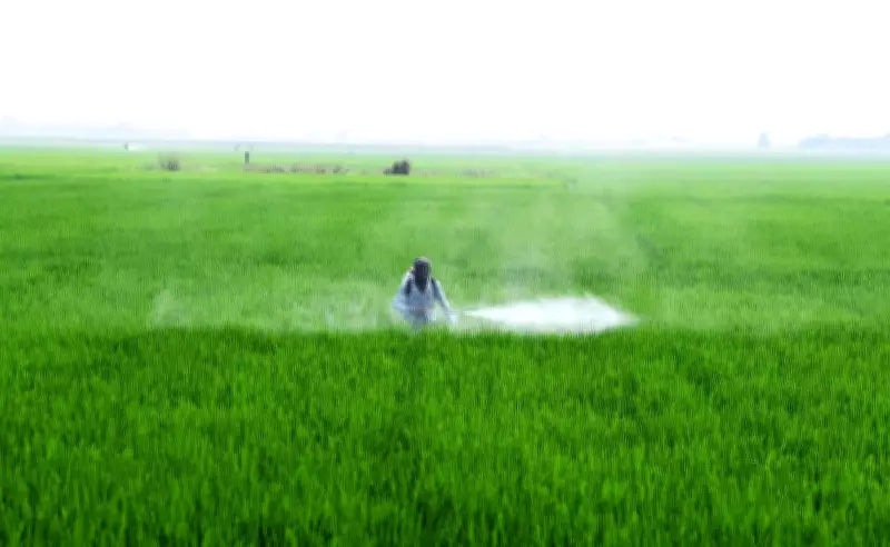 Telangana Govt Urges Farmers to Shift from Paddy to Less Water-Intensive Crops Amid El Nino Concerns