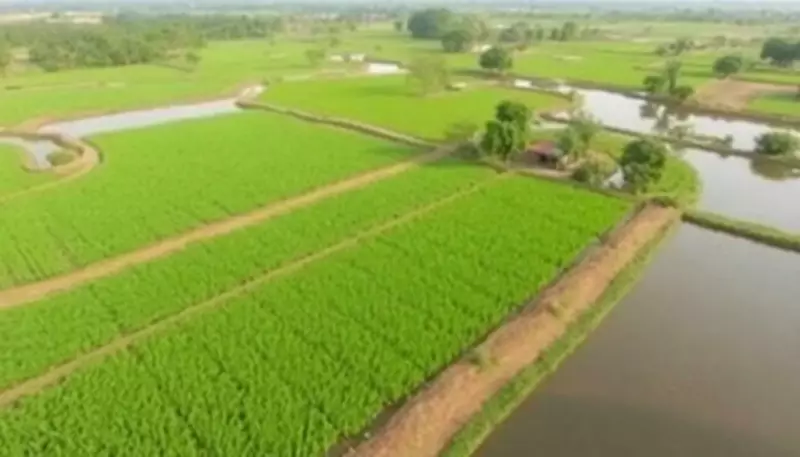 Telangana Revises Land Rates: Up to 100% Hike Inside ORR, Rural Areas Spared